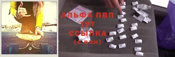 стаф Абинск