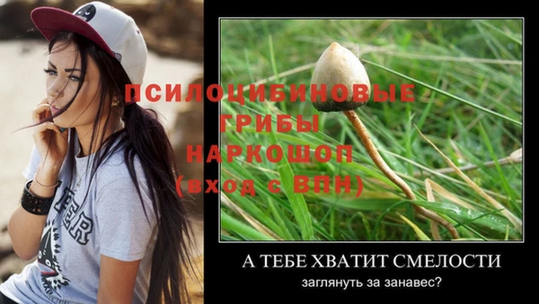стаф Абинск