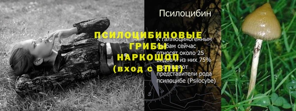 стаф Абинск