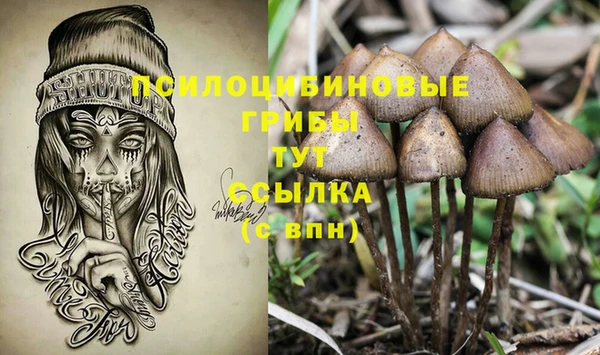 стаф Абинск