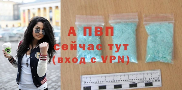 стаф Абинск