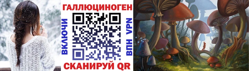 Галлюциногенные грибы Psilocybe  дарнет шоп  mega ссылки  Алатырь 