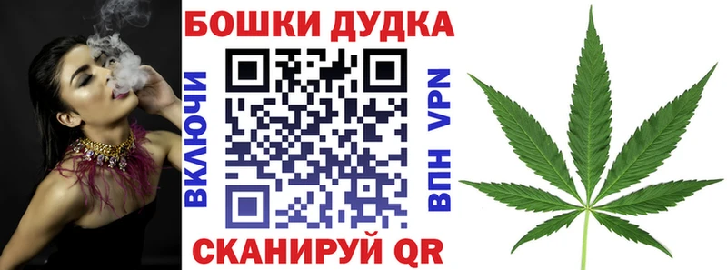 Канабис гибрид  Алатырь 